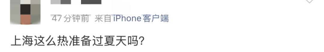 上海今天最高21℃，明起降温又有雨！寒樱提前绽放，本周末进入最佳观赏期