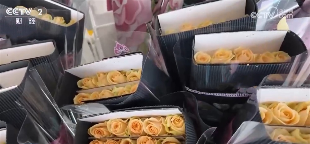 传统与科技交织撬动节日消费新场景 从“年货经济”看经济增长新动能