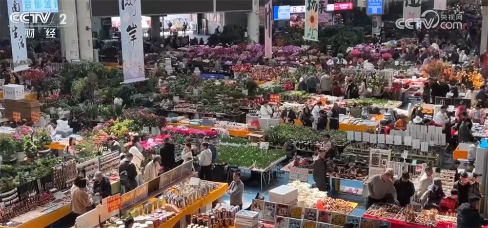 传统与科技交织撬动节日消费新场景 从“年货经济”看经济增长新动能