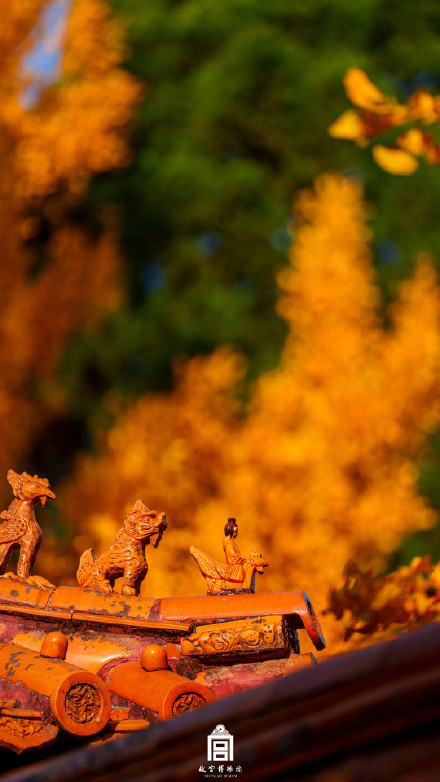 转存！故宫壁纸又上新了