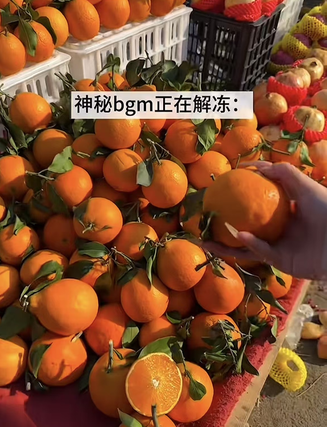 开启春节备战模式！网友：当这些组合出现就知道过年越来越近了……