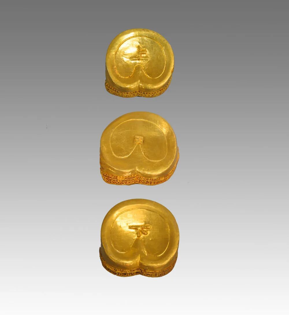 马蹄金，什么来头？