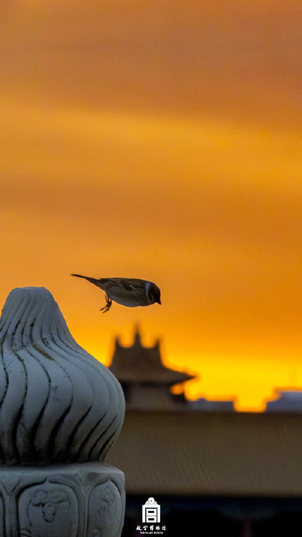 转存！故宫壁纸又上新了