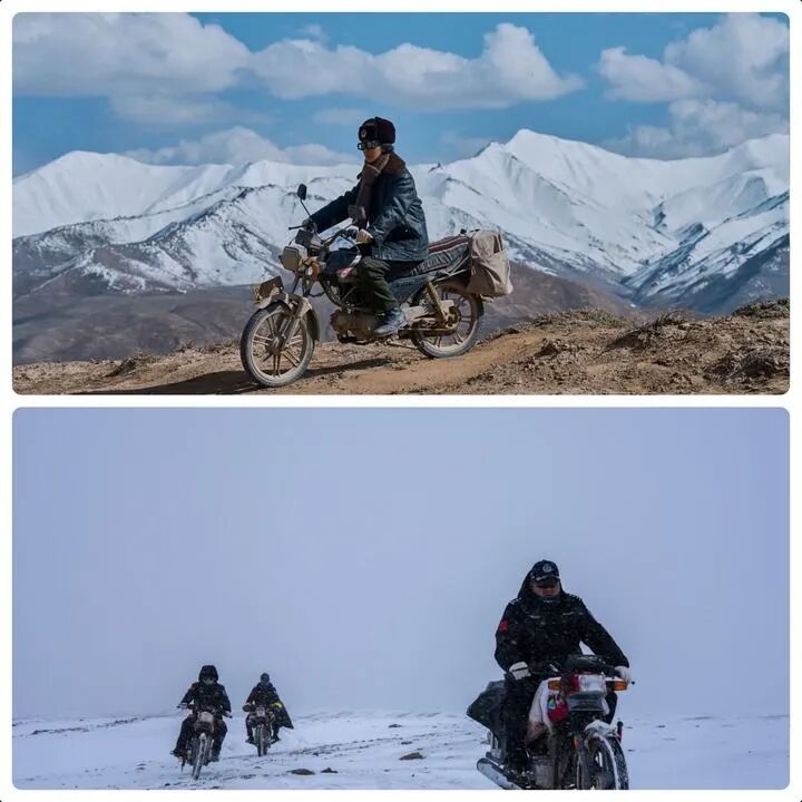 现实版的《生命树》，怎样告慰英雄