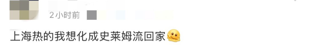 上海今天最高21℃，明起降温又有雨！寒樱提前绽放，本周末进入最佳观赏期