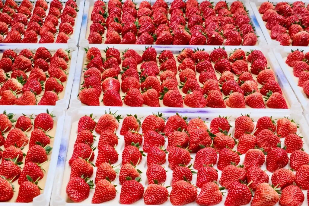 安检仪扫出满屏的“小红心”，到底是啥？