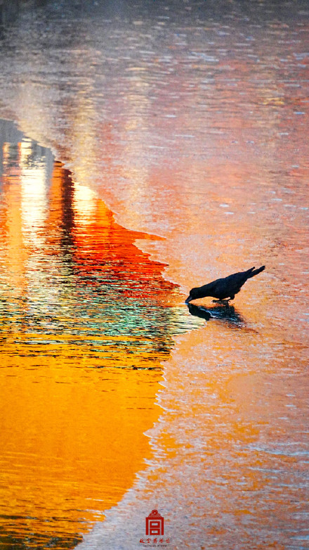 转存！故宫壁纸又上新了