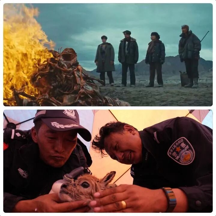 现实版的《生命树》，怎样告慰英雄