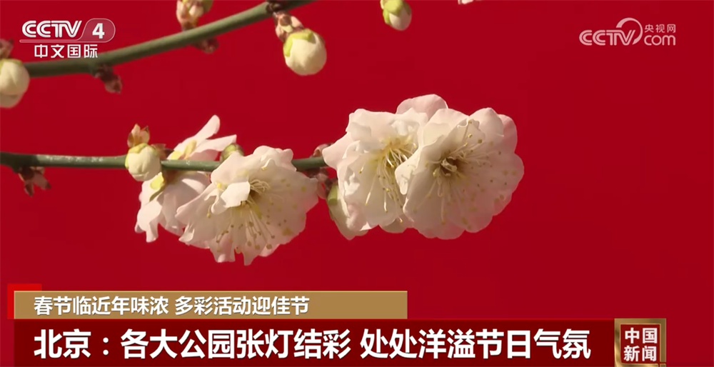 各地大街小巷张灯结彩处处洋溢节日喜庆氛围 欢欢喜喜过大年