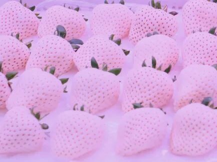 安检仪扫出满屏的“小红心”，到底是啥？