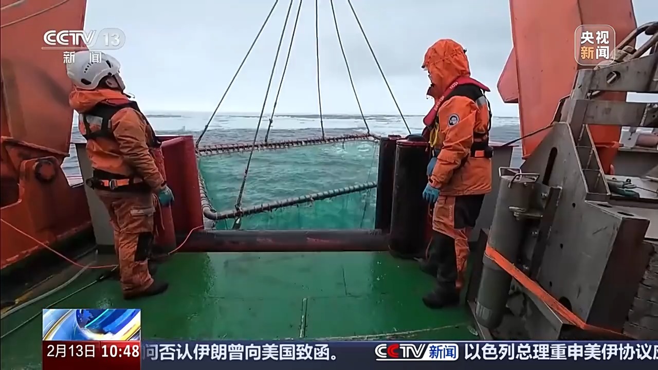 中国南极考察又有新发现！中层鱼拖网获取的珍贵样品都有啥？