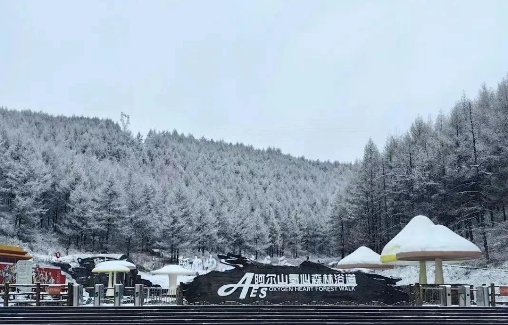 来内蒙古过大年 文旅一卡通点亮新春