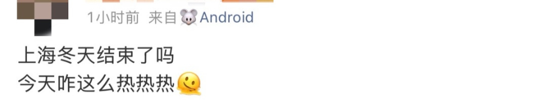 上海今天最高21℃，明起降温又有雨！寒樱提前绽放，本周末进入最佳观赏期