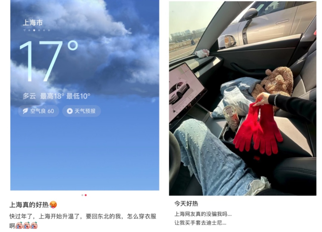 上海今天最高21℃，明起降温又有雨！寒樱提前绽放，本周末进入最佳观赏期