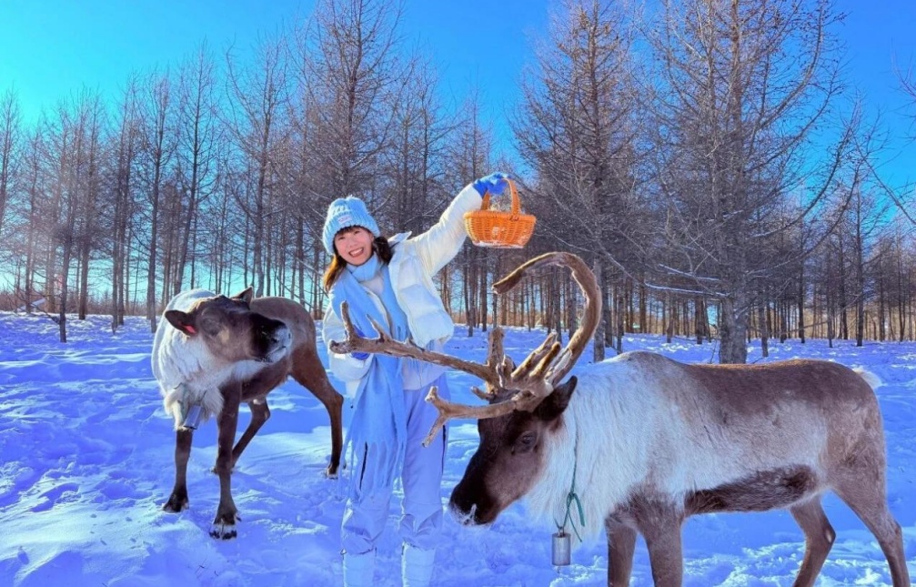 来内蒙古过大年 文旅一卡通点亮新春