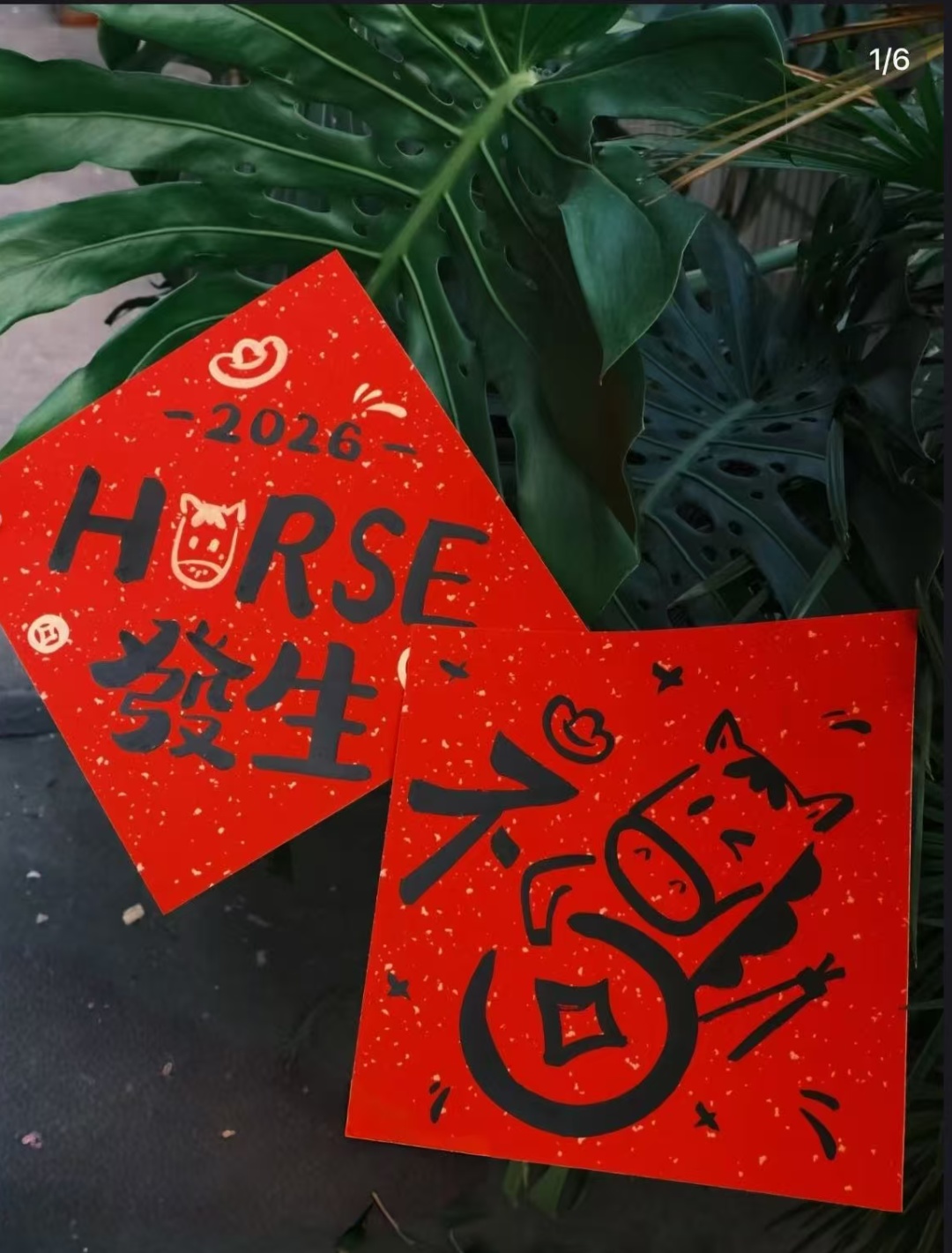 开启春节备战模式！网友：当这些组合出现就知道过年越来越近了……