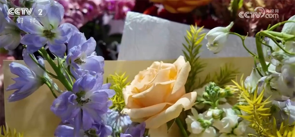 传统与科技交织撬动节日消费新场景 从“年货经济”看经济增长新动能