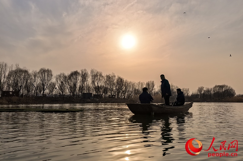 新春走基层丨为候鸟“站岗” 新春走基层丨为候鸟“站岗”