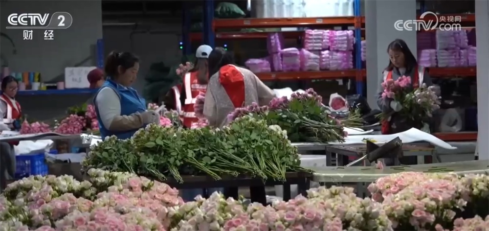 传统与科技交织撬动节日消费新场景 从“年货经济”看经济增长新动能