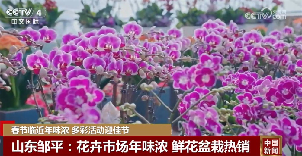 各地大街小巷张灯结彩处处洋溢节日喜庆氛围 欢欢喜喜过大年