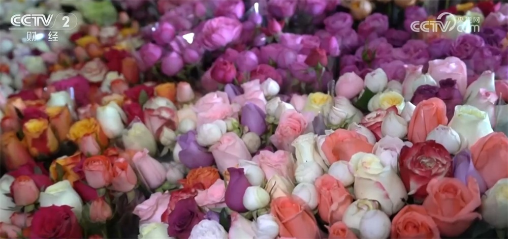 传统与科技交织撬动节日消费新场景 从“年货经济”看经济增长新动能