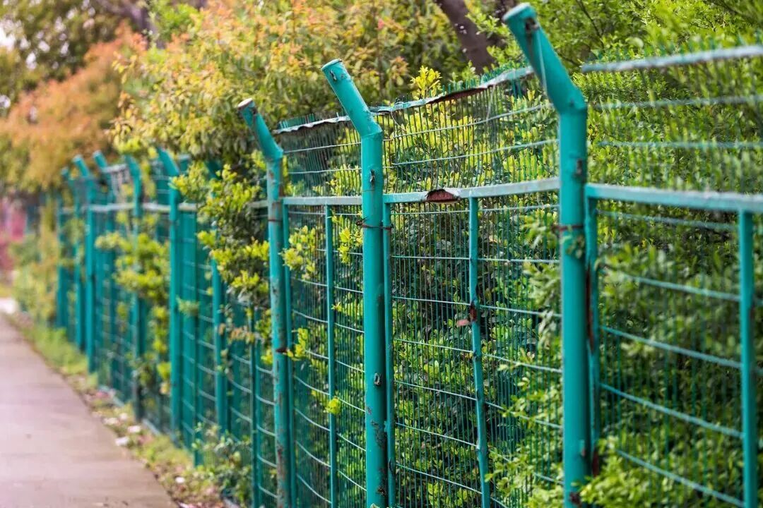 高中生凌晨翻墙出校致残，起诉学校和同伴索赔21万，法院判了！