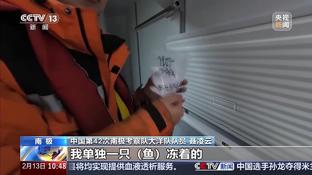 中国南极考察又有新发现！中层鱼拖网获取的珍贵样品都有啥？