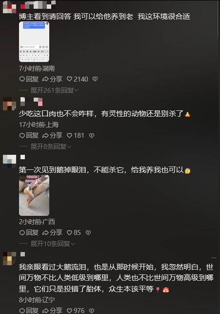 待宰大鹅流泪，网友喊话求放过，主人称吓得“不敢吃了”，专家：鹅具有更发达的泪腺
