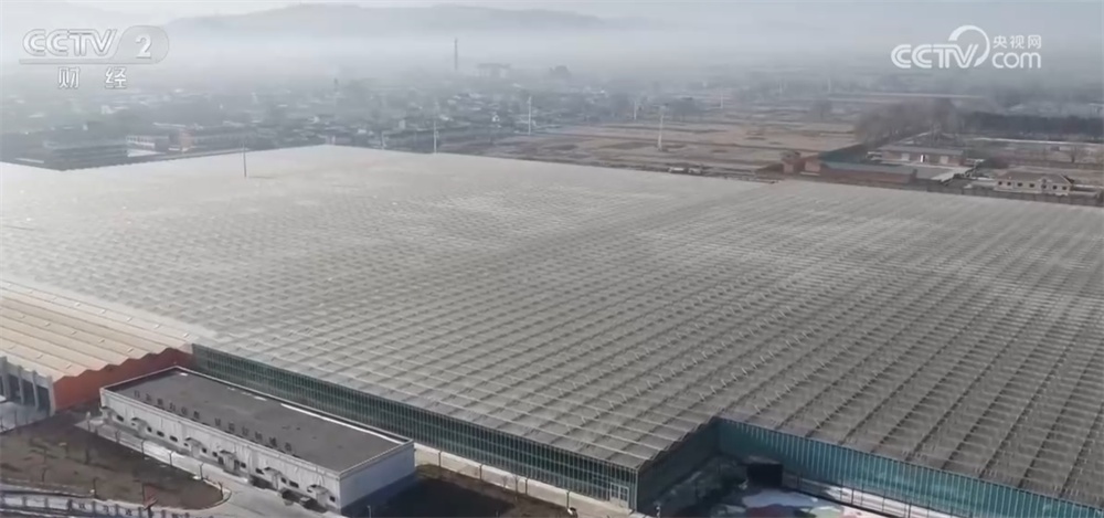 传统与科技交织撬动节日消费新场景 从“年货经济”看经济增长新动能