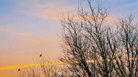 北京节前最后一个工作日现梦幻朝霞