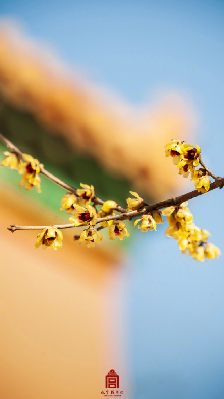 转存！故宫壁纸又上新了