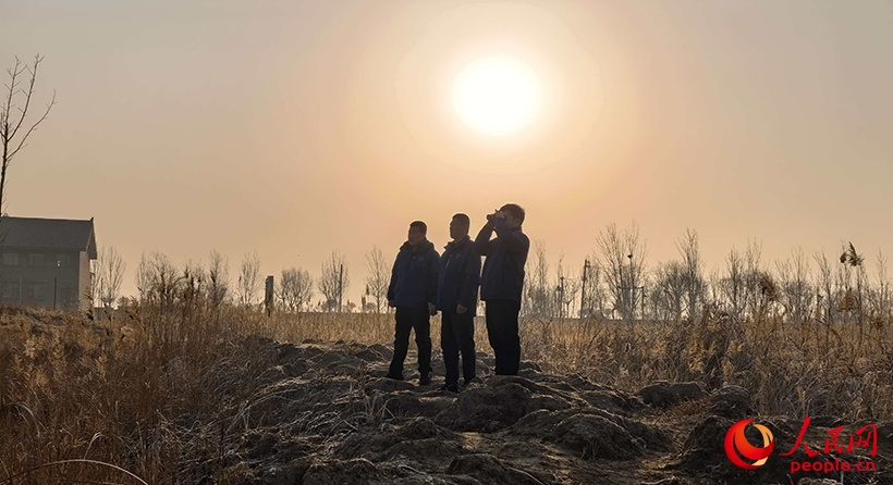 新春走基层丨为候鸟“站岗” 新春走基层丨为候鸟“站岗”