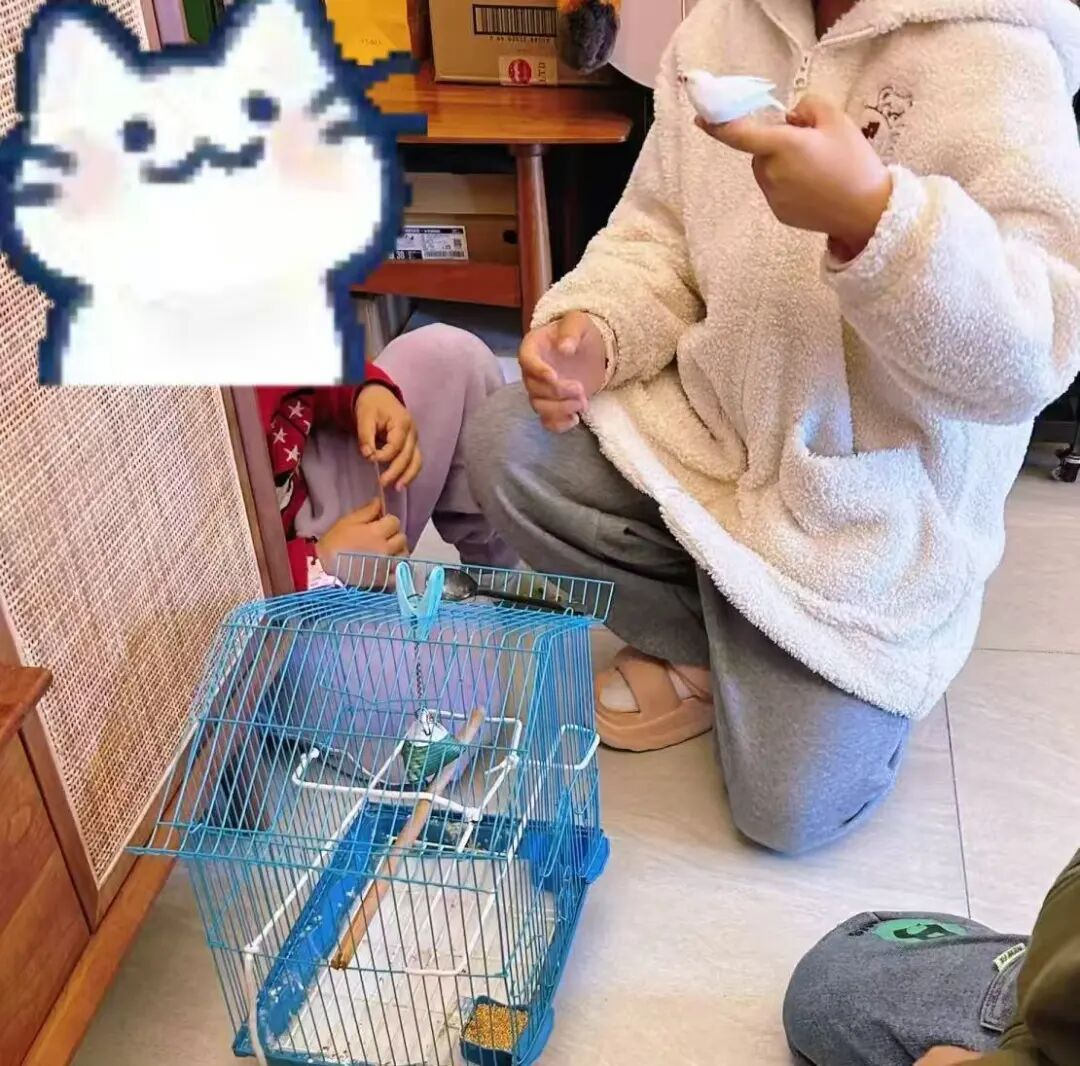 女孩下楼扔垃圾,还顺便找回悬赏2000元的走失猫咪 女孩下楼扔垃圾,还顺便找回悬赏2000元的走失猫咪