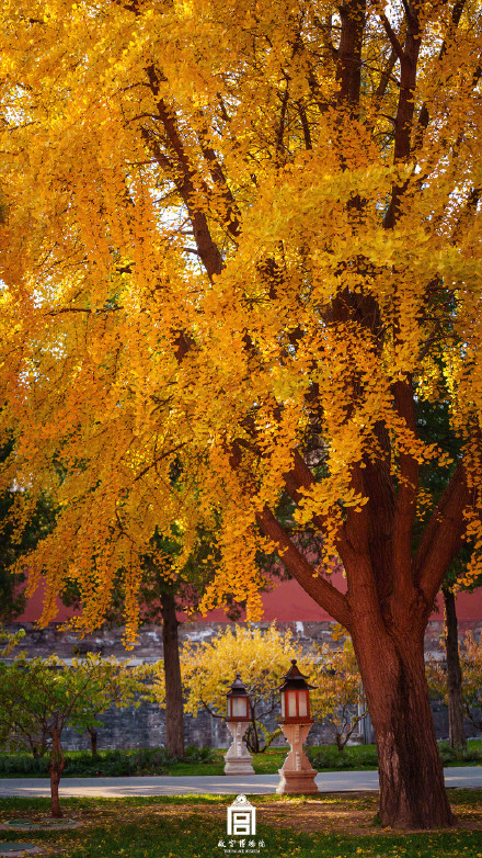 转存！故宫壁纸又上新了