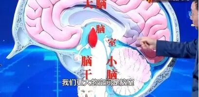 饿一饿年轻5-8岁？这样少吃点儿好处多到想不到，中年人必看→