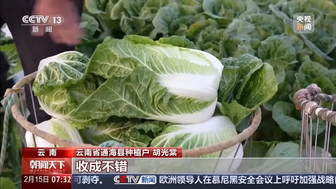 年货食材种类多、供应足！哈尔滨等多地市场迎来购销热潮