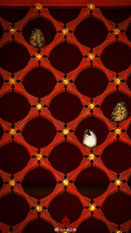 故宫中国红壁纸上新