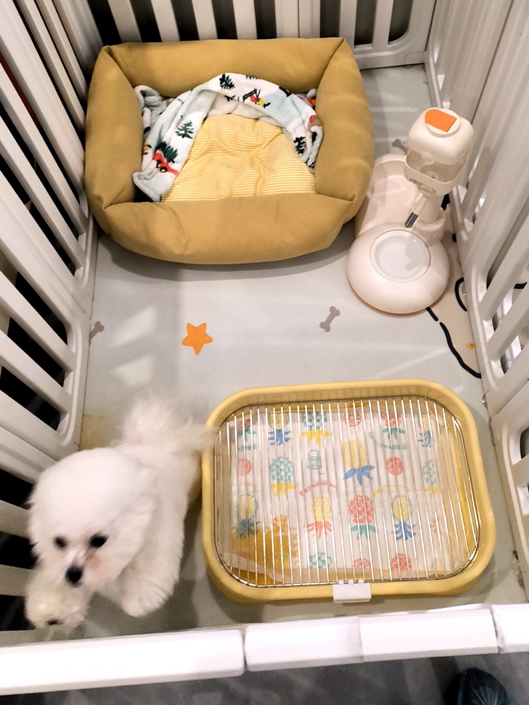 需求暴涨！最近这门生意太火爆！杭州有小伙春节能赚15000元