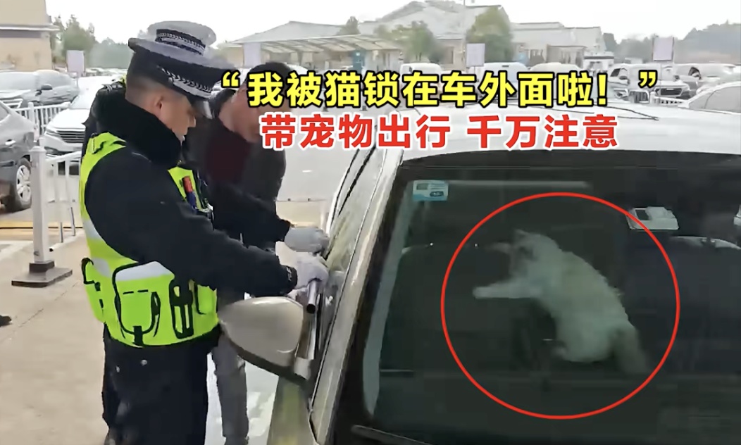 免费9天！春节自驾出行指南来了