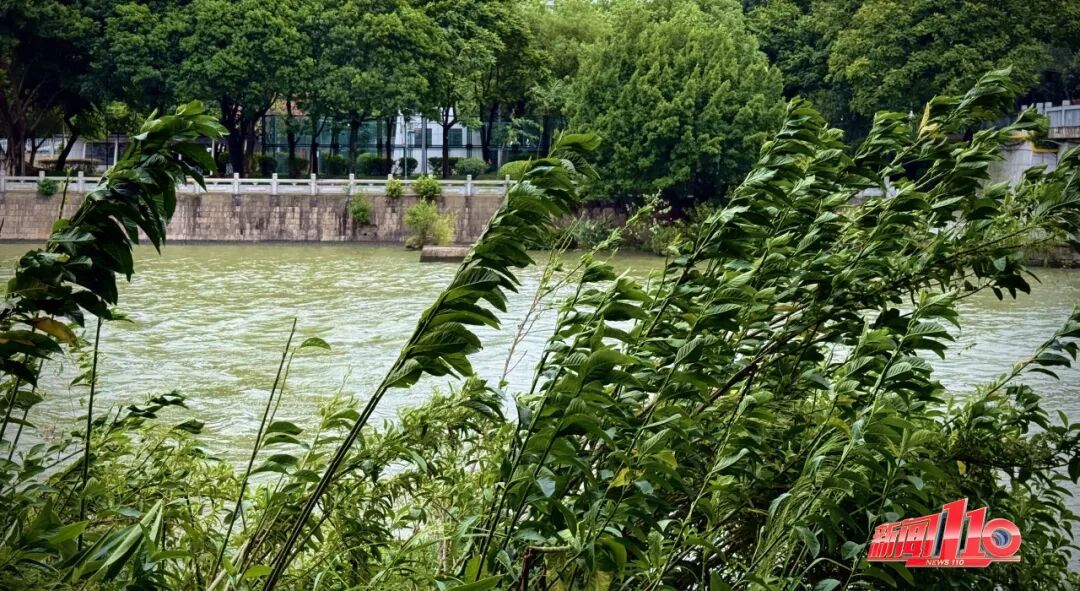 福州天气即将大反转！除夕降温又降雨