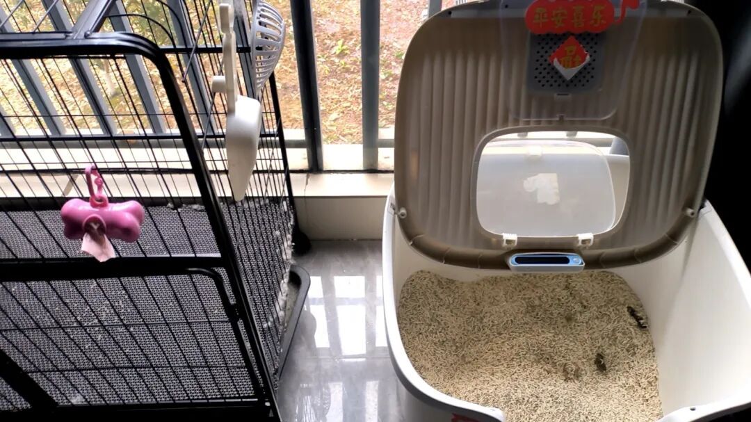 需求暴涨！最近这门生意太火爆！杭州有小伙春节能赚15000元