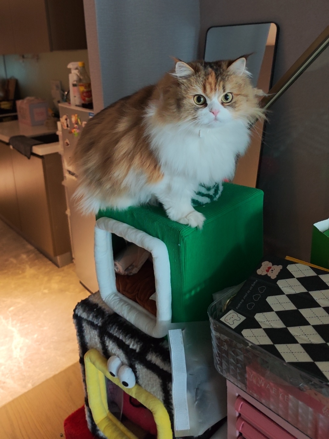 需求暴涨！最近这门生意太火爆！杭州有小伙春节能赚15000元