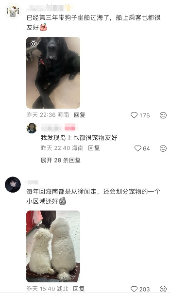 掌握这几个时间点，出行更高效！琼州海峡过海攻略更新→