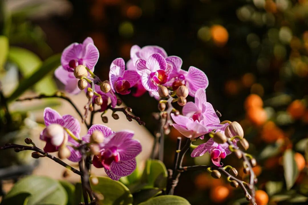 冷空气明天到！广东最低仅3℃