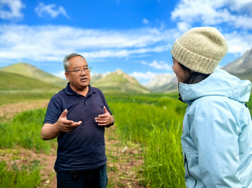 “牛博士”来了，牛犊“全部存活，而且长得壮实”！