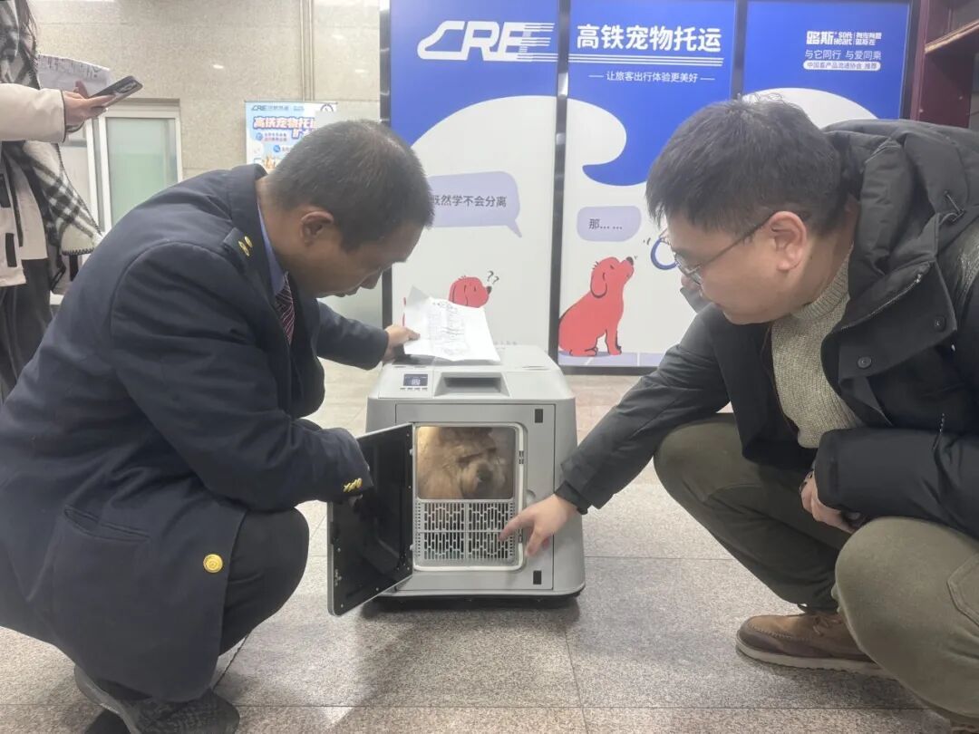 马上回家，团圆过年！