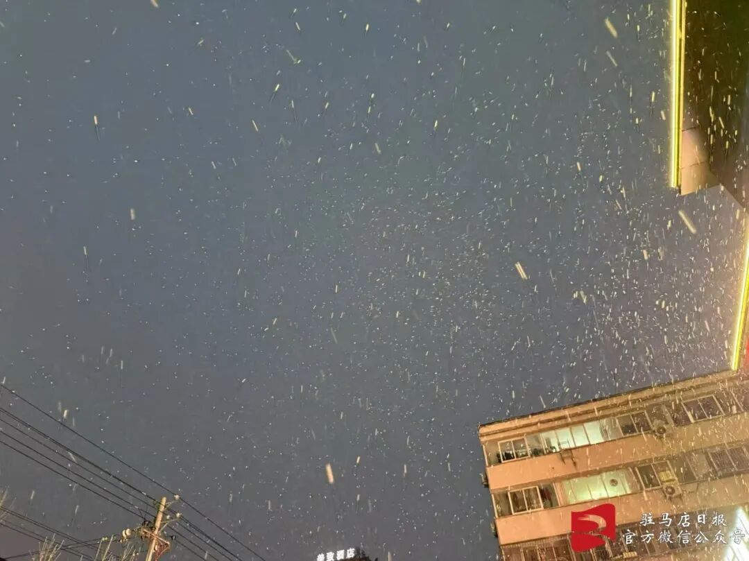 河南多地开始下雪啦！局地13级大风，明天还要下一天
