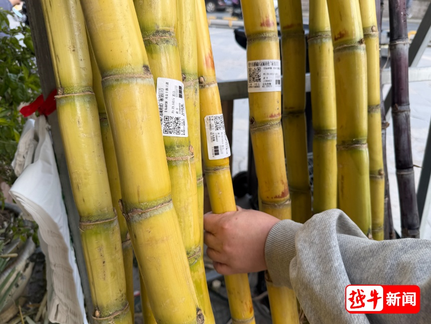 一根甘蔗87元?!男子称付完钱才反应过来,已退款! 一根甘蔗87元?!男子称付完钱才反应过来,已退款!