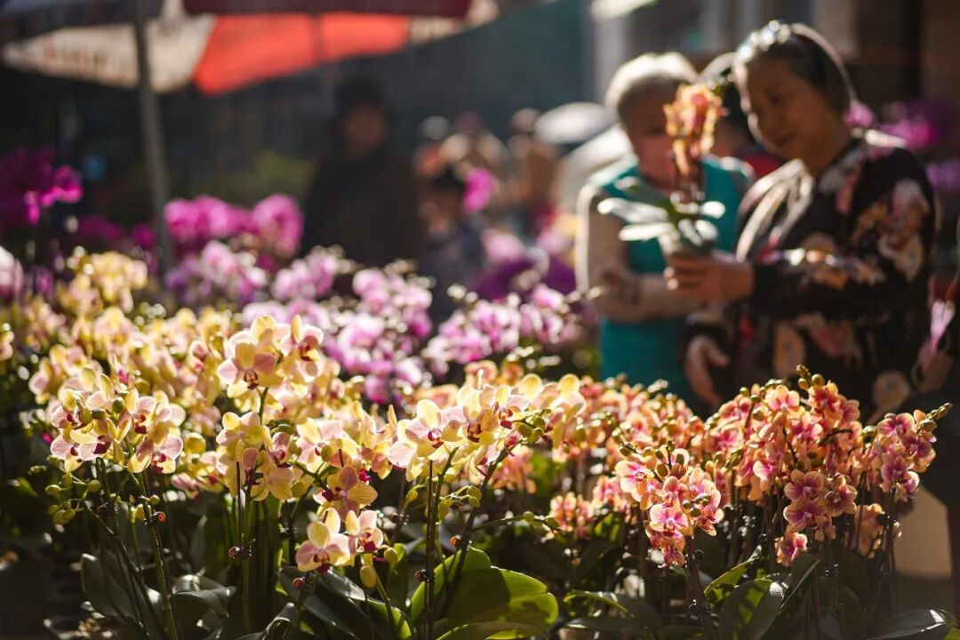 冷空气明天到！广东最低仅3℃