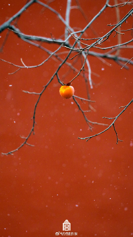 故宫中国红壁纸上新